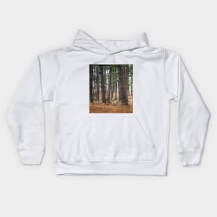 A walk in the woods Kids Hoodie